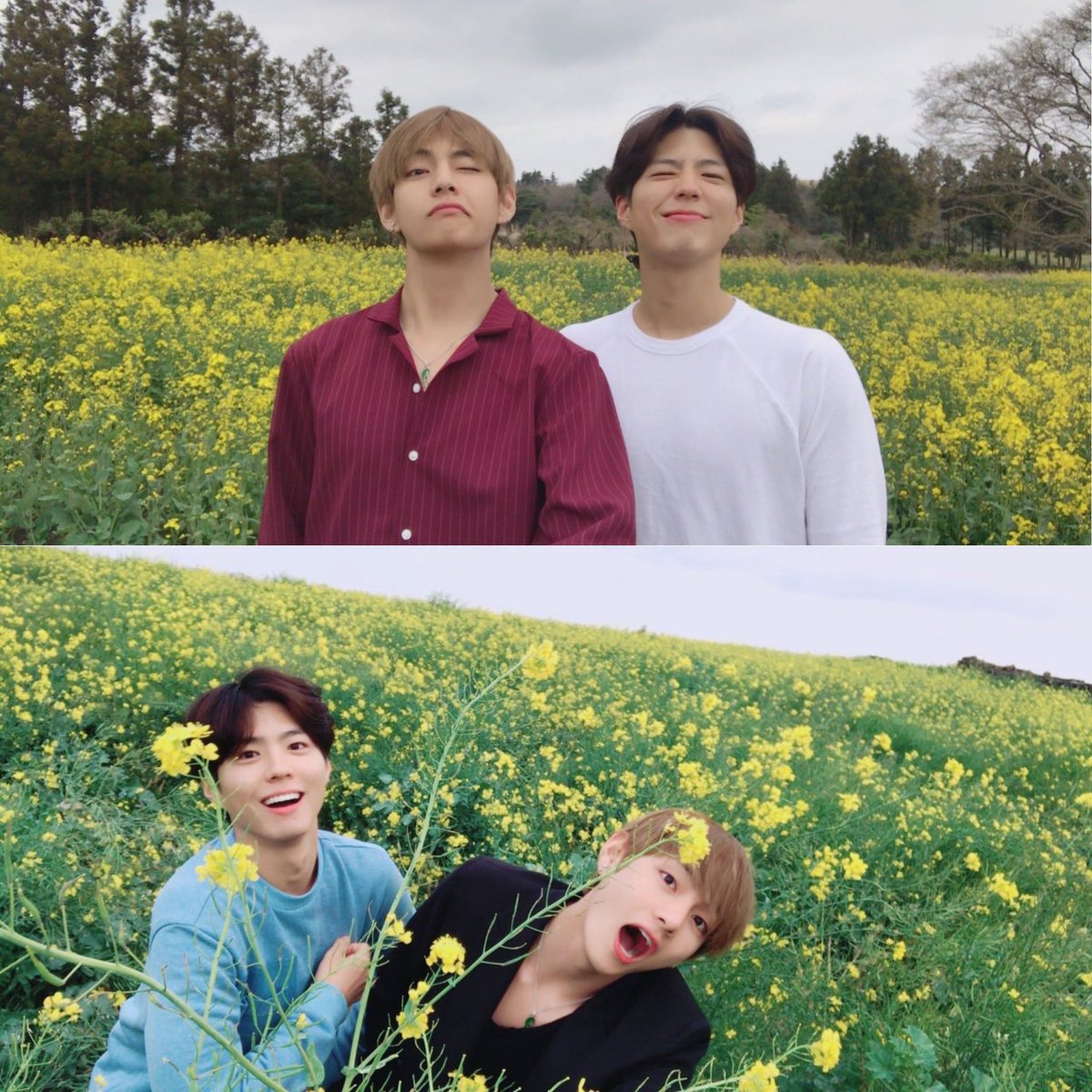 Remember when Taehyung had that famous Jeju canola date with real life Gwansik