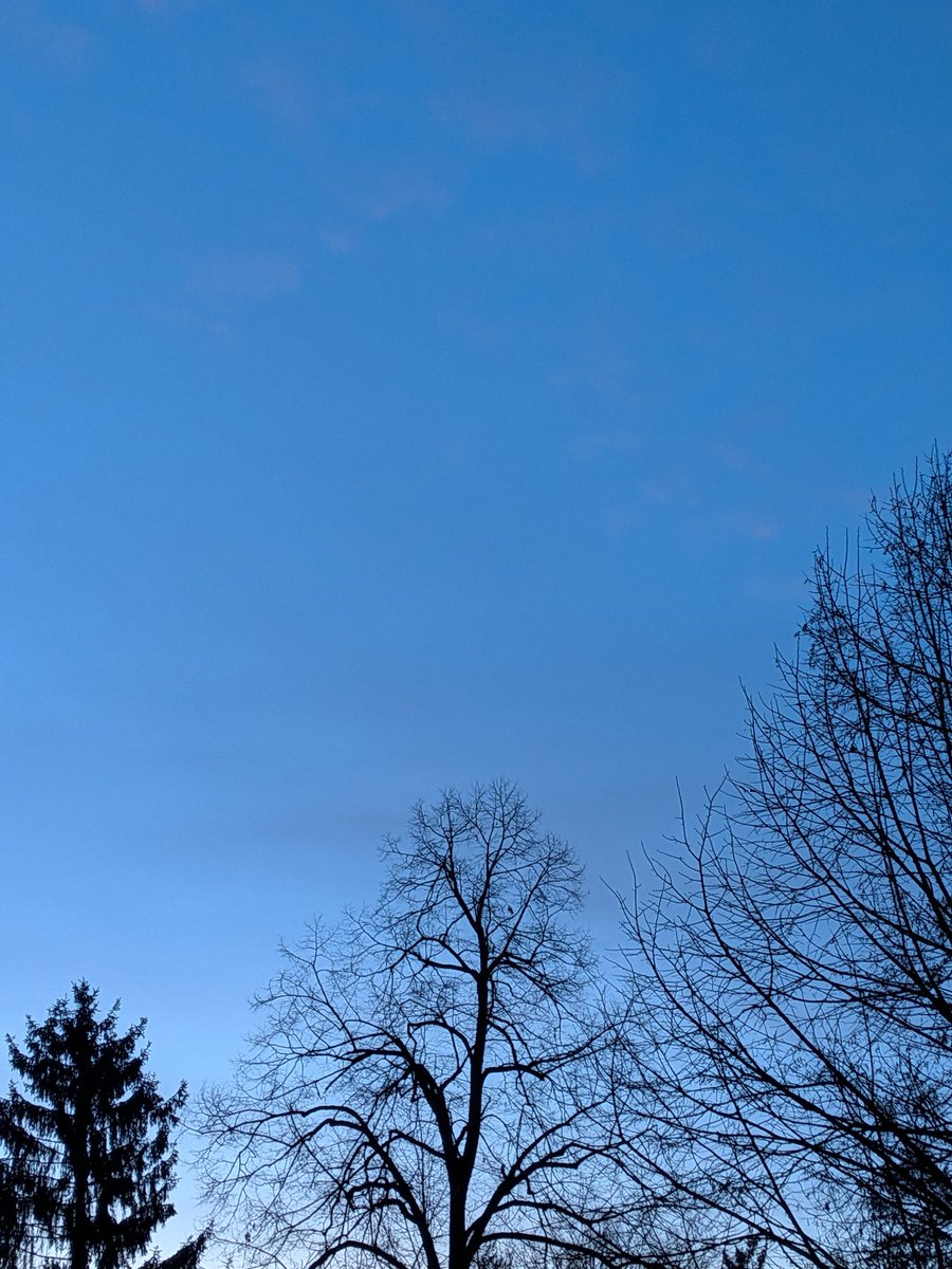 25. Februar 

Gefühlt eiskalt