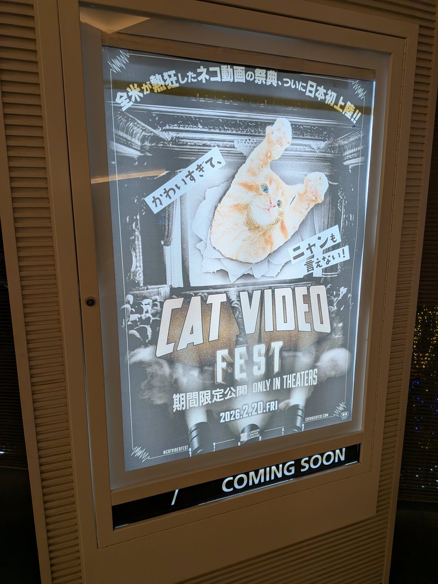 hayabusakikan's tweet photo. 今日は映画です。
『Cat Video Fest』
収益の一部が保護団体へ寄付され、猫さん達のために活用される予定の本作。可愛い猫さんを見るだけで助けることもできちゃうなんて、みんなハッピハッピハッピー。癒やされてきますね。
#CatVideoFest
#キャットビデオフェスト https://t.co/gxIpN54eOq