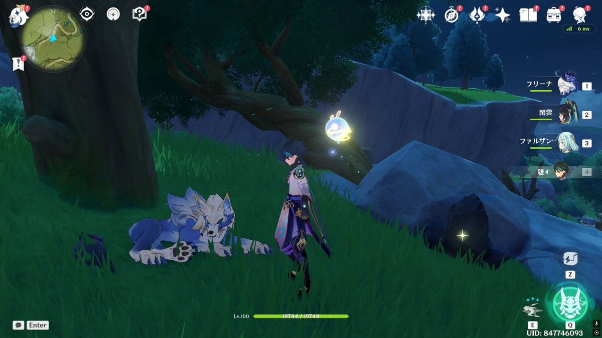 ググプラム取りに来たんだけど、狼さんっていつからいるの？