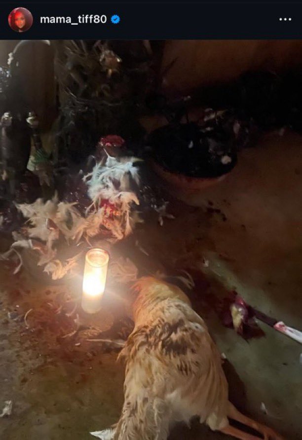 She’s Fishy ➐ tweet media