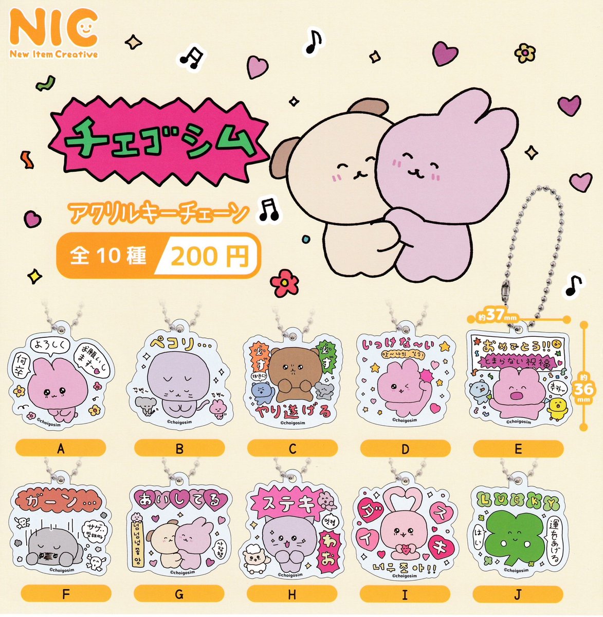 🌈本日の新作情報✨ ⭐️ チェゴシム アクリルキーチェーン #ドリーム