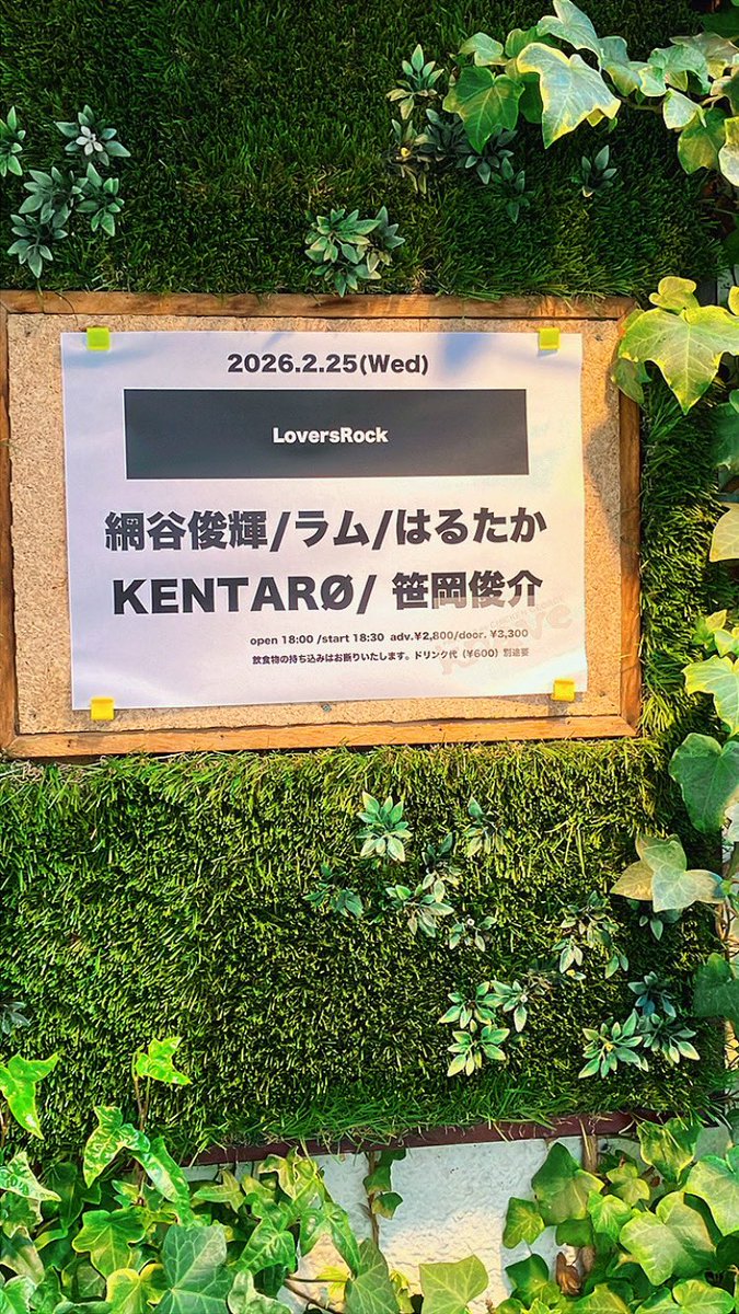 SingsShu's tweet photo. まもなくリハ開始です。
お時間ある方は是非！

OPEN 18:00
START 18:30

#堀秀悟 #ラム #keyboardsupport #キーボードサポート https://t.co/nEW5P1Vr0b