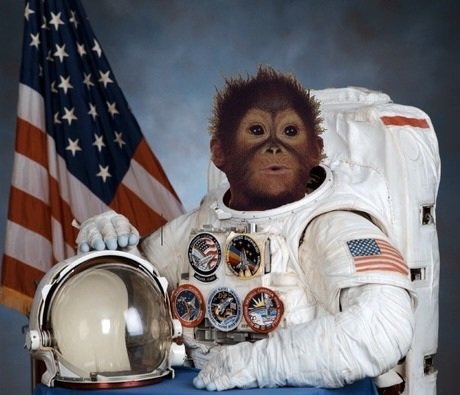 Jeff Seaton tweet media