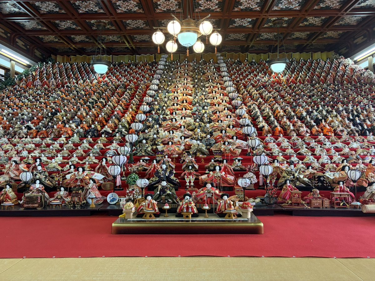 コイ子ココ美だよ♥👩 今日は可睡齊の 『ひな祭り』にいってきたよー