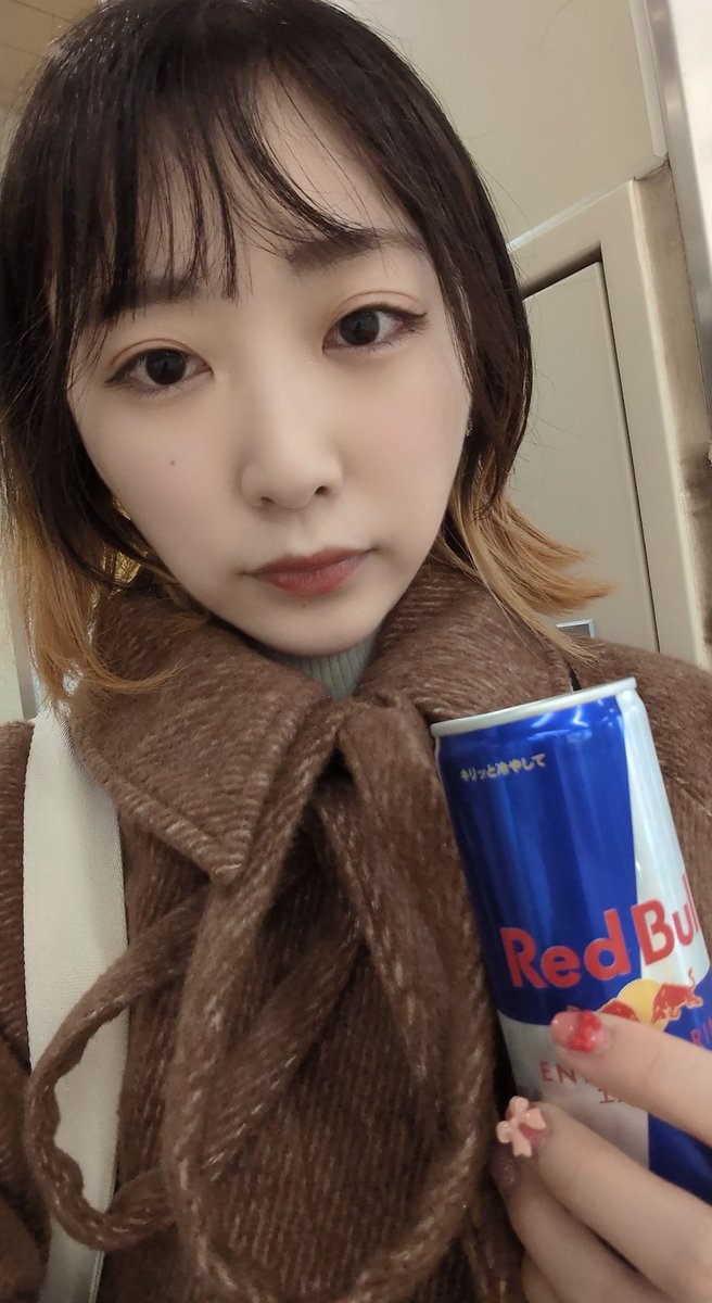 工藤ちゃん (@traum_katze) / Posts / X