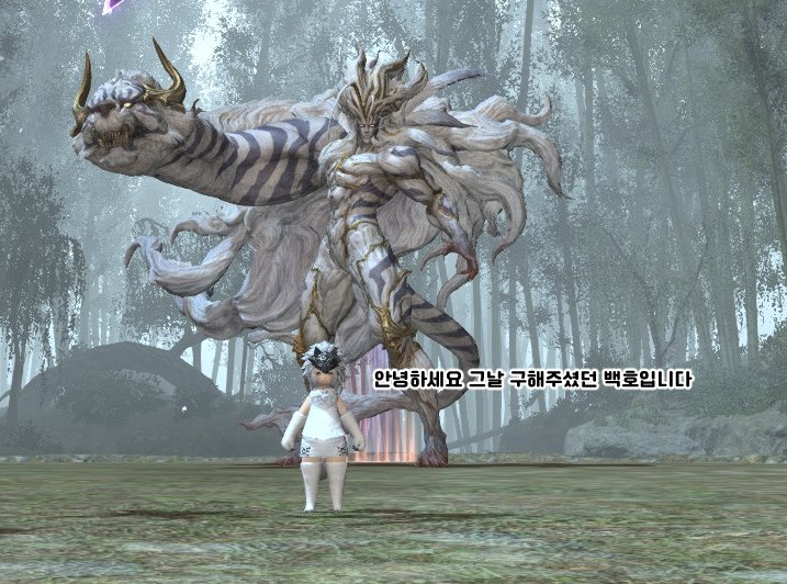 에오르제아 코스프레 감자가 바로 접니다