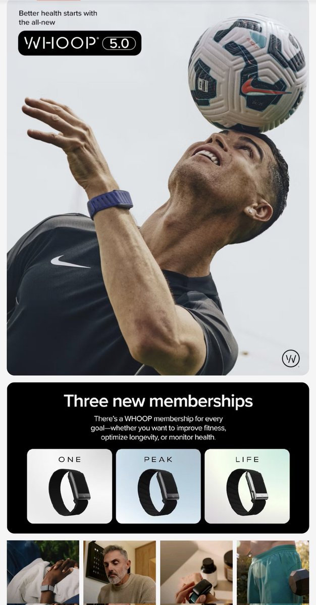 dittoeth tweet media