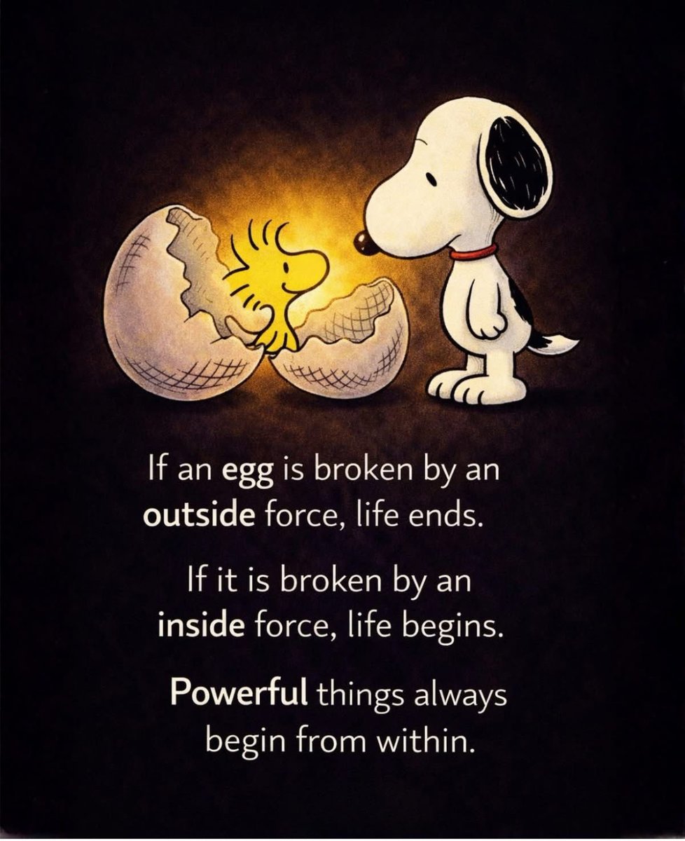 K.R.M. Morgan tweet media