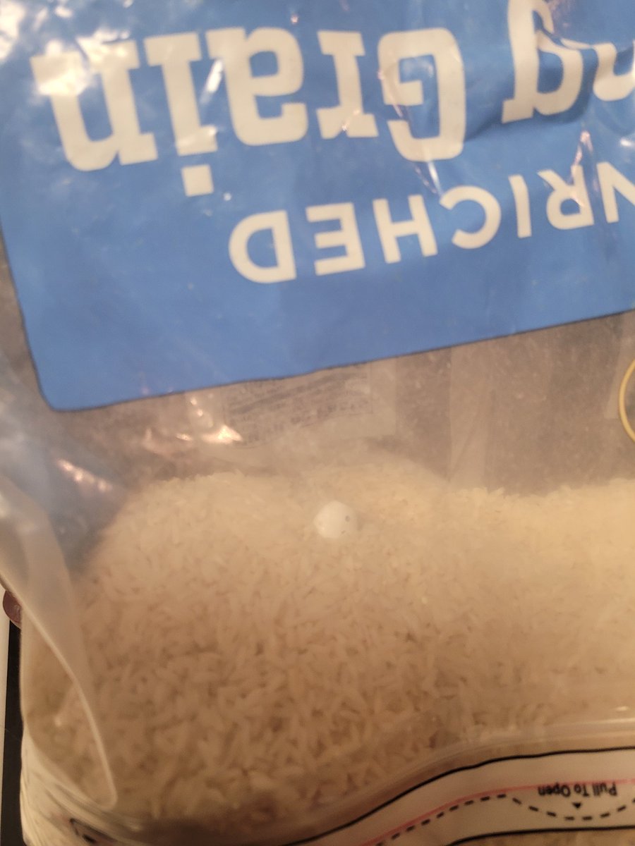 NEETmoth (laid off edition) tweet media