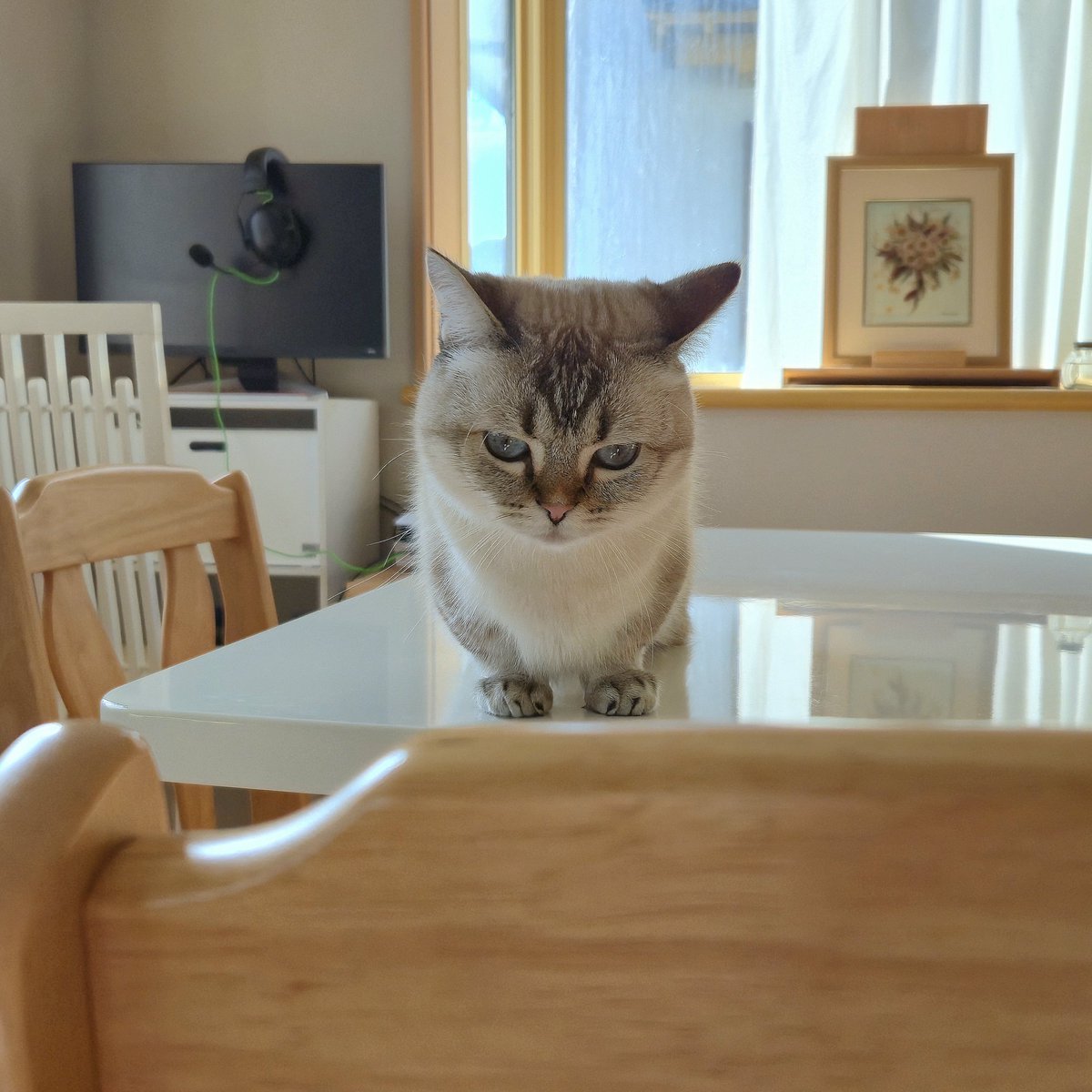 まるママ (@maruchannel0820) / Posts / X