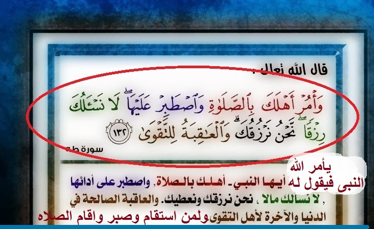 شهلا سفيان tweet media