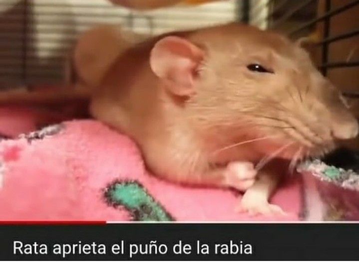 𝑭𝒓𝒂𝒏 (𝑻𝒂𝒚𝒍𝒐𝒓'𝒔 𝑽𝒆𝒓𝒔𝒊𝒐𝒏) 🌑 tweet media