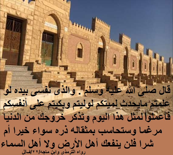شهلا سفيان tweet media