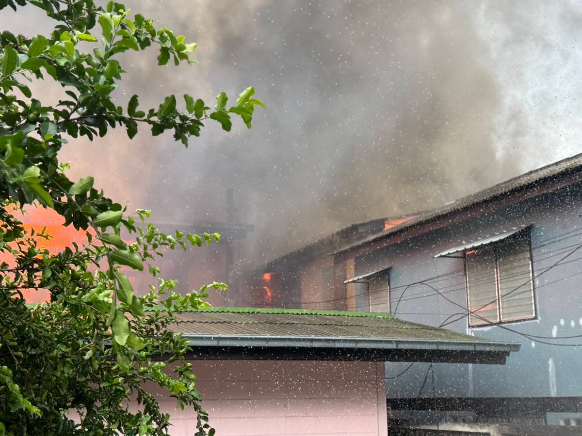 Rescue News tweet media