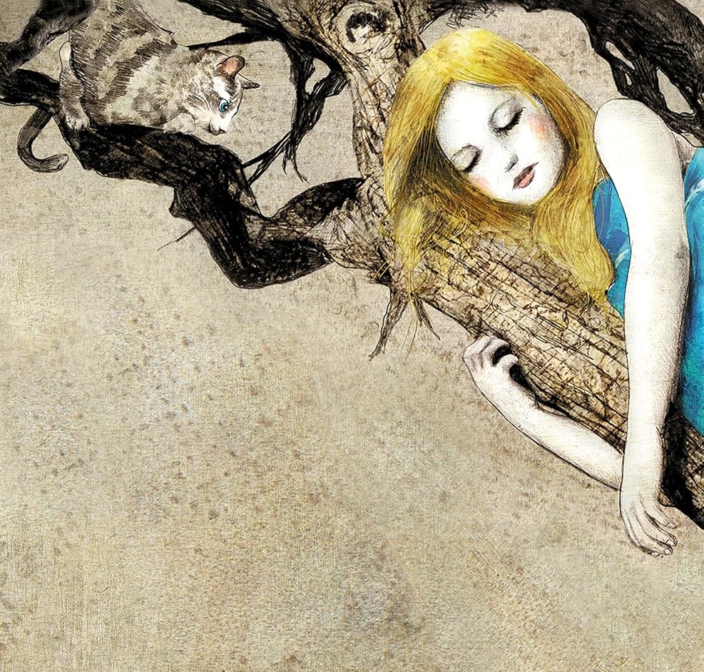 Ado Rosa tweet media