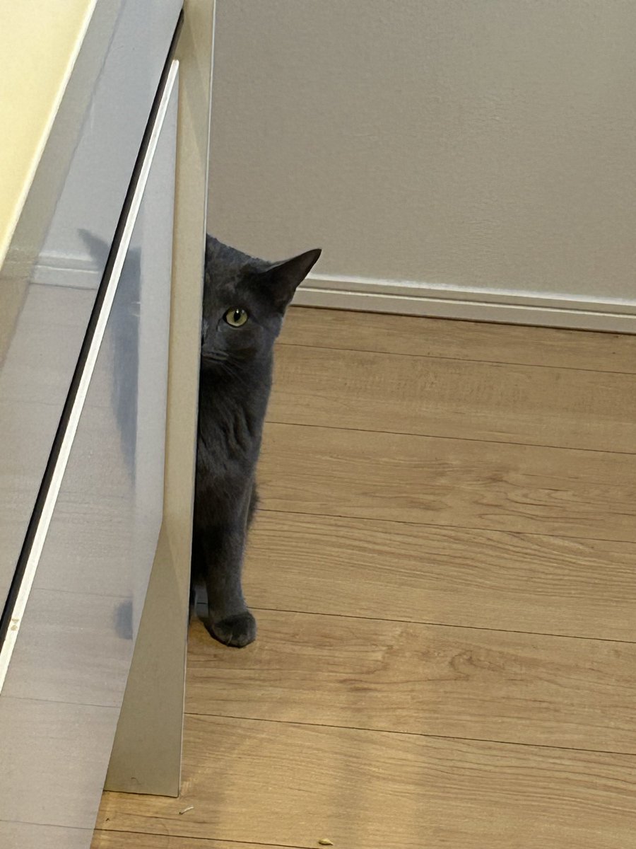 四方山 天国 tweet media