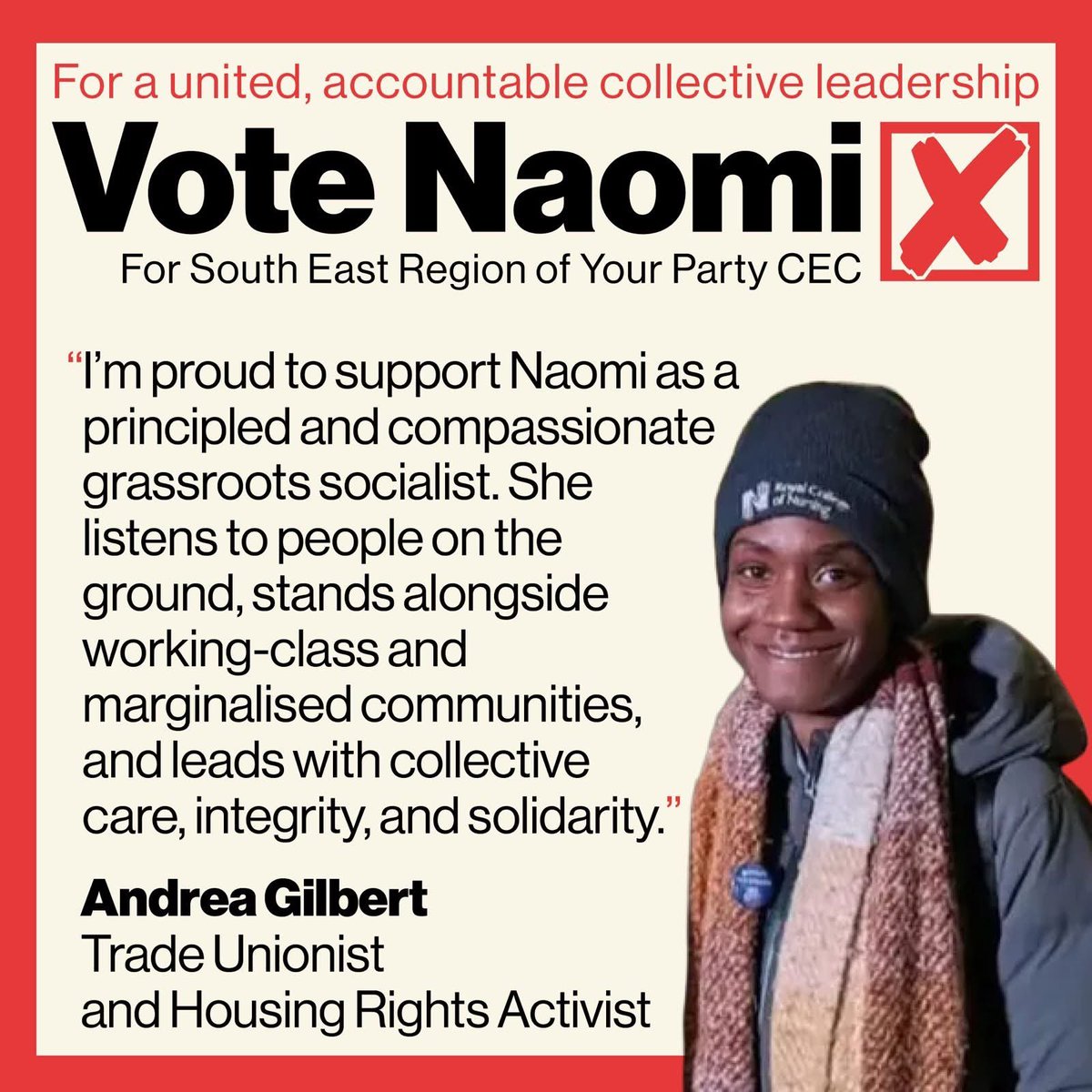 Platform for a Democratic Party tweet media