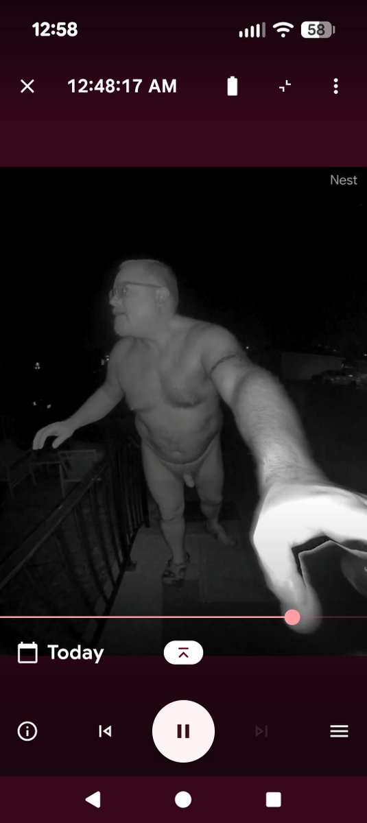 Papacat in Pocatello tweet media