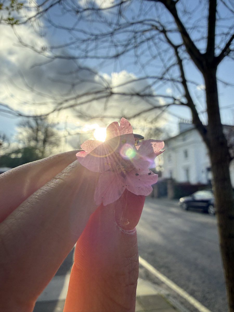 Esta foto tiene dos versiones, no sé cual les gusta más