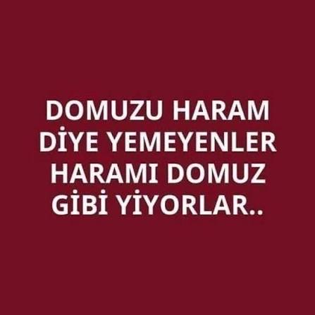 <a href="/etkilihaberyeni/">Etkili Haber Yeni Sayfa</a>