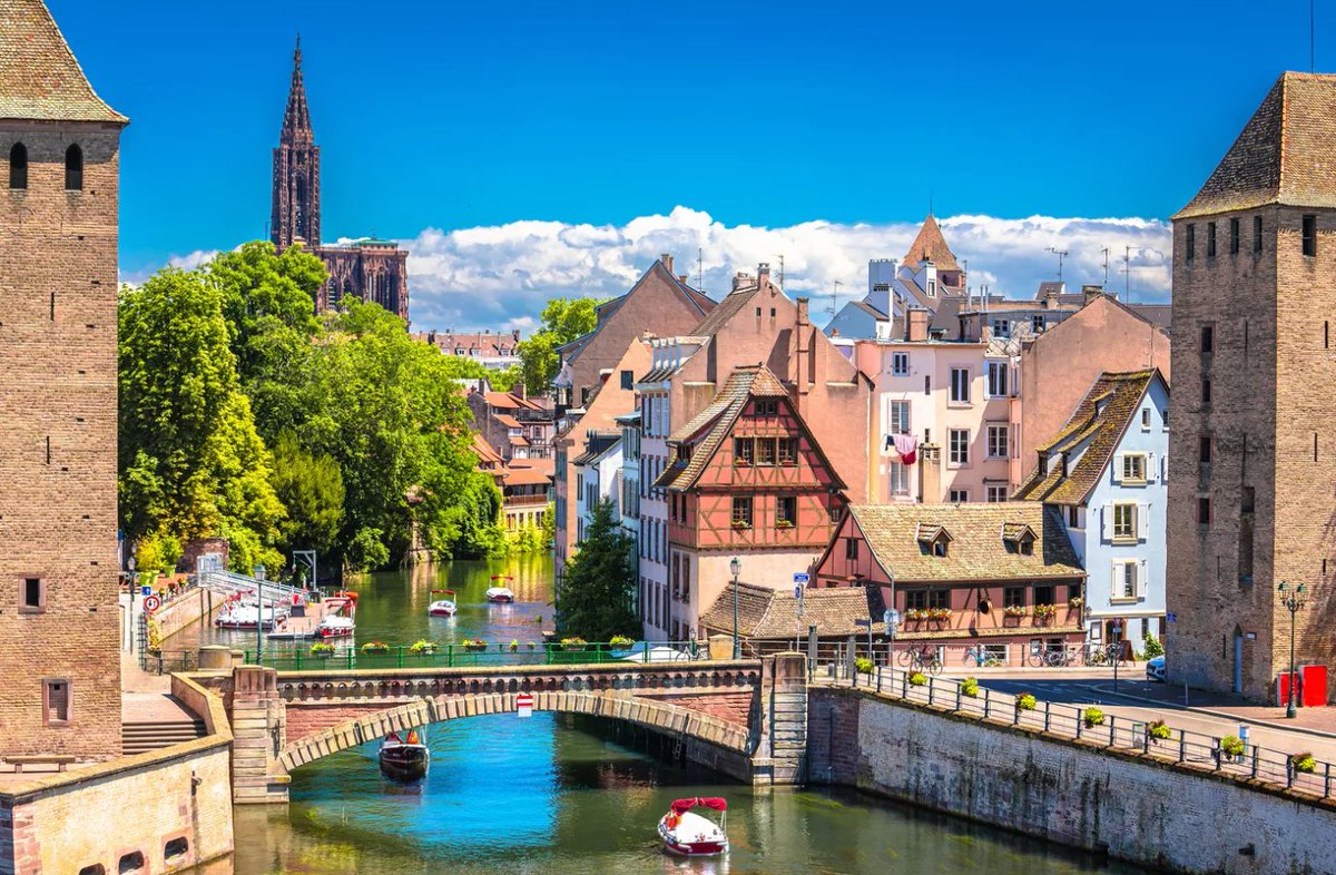 Think-Tanks'App tweet media