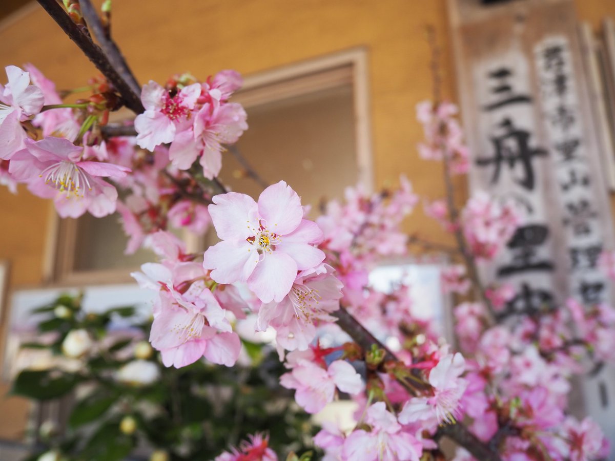 chabin14's tweet photo. 三舟山登ってきたよー https://t.co/XaU2gvBd5F