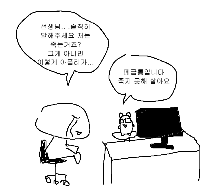 백수의생 tweet media