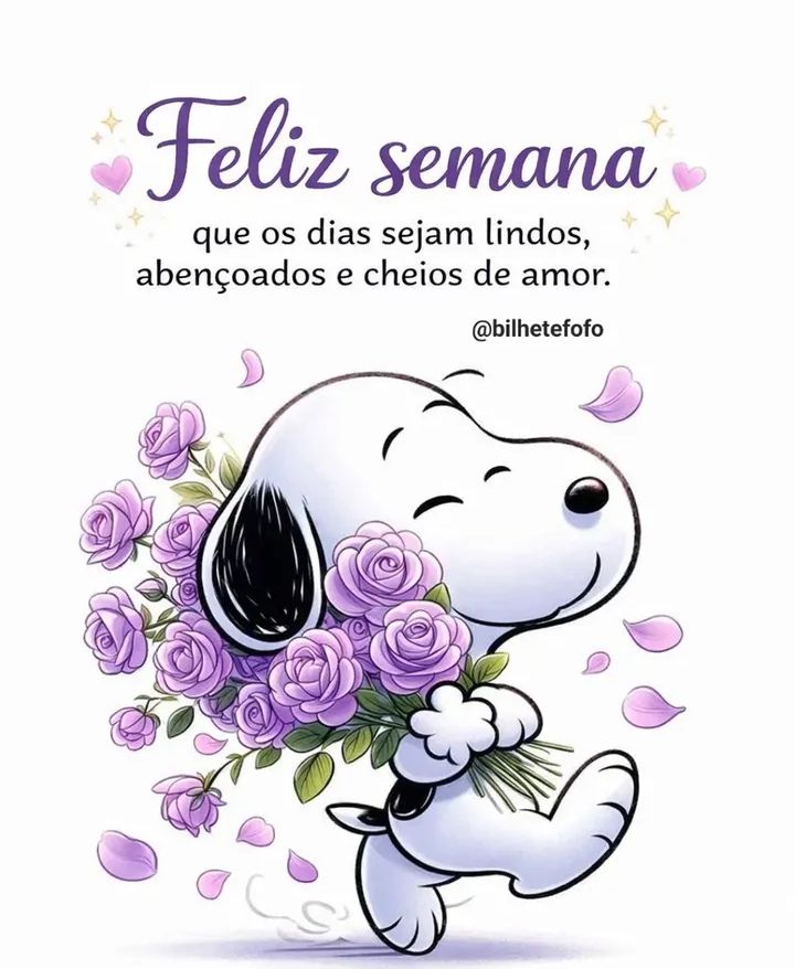 Amanda Magalhães tweet media