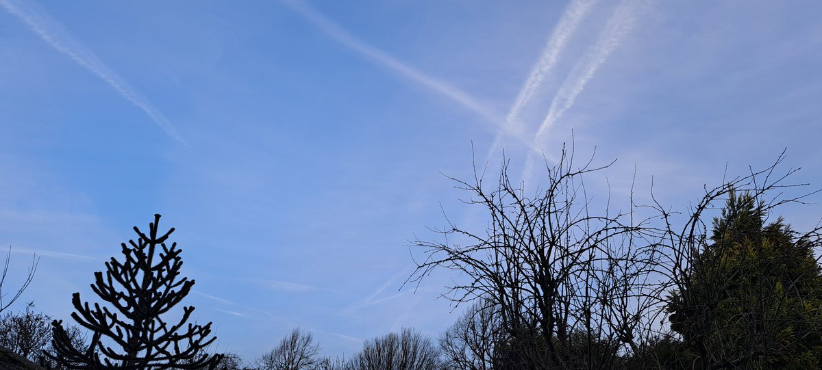 💙🤍 It's still blue, happy Monday everyone 🤍💙

23.02.2026

#ViewFromTheGarden