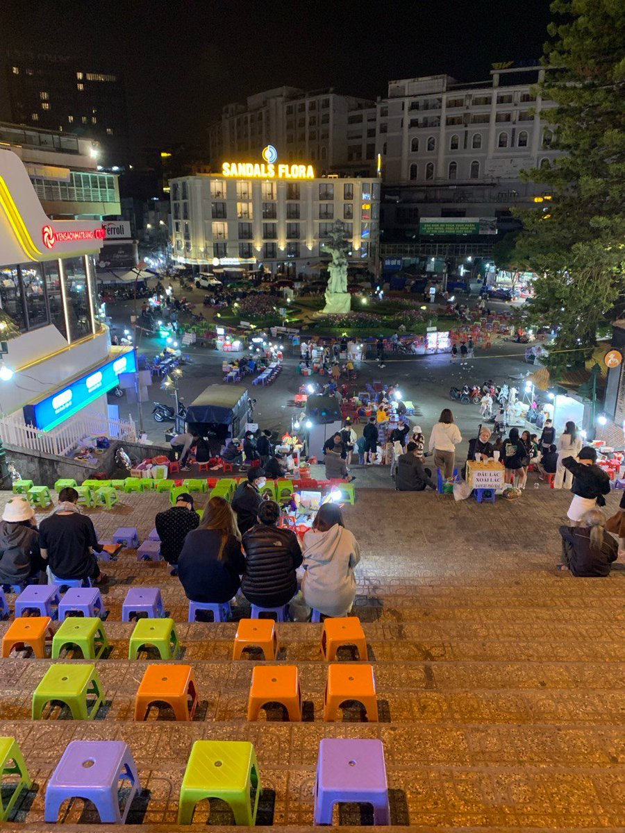 VietnamPenguin tweet media