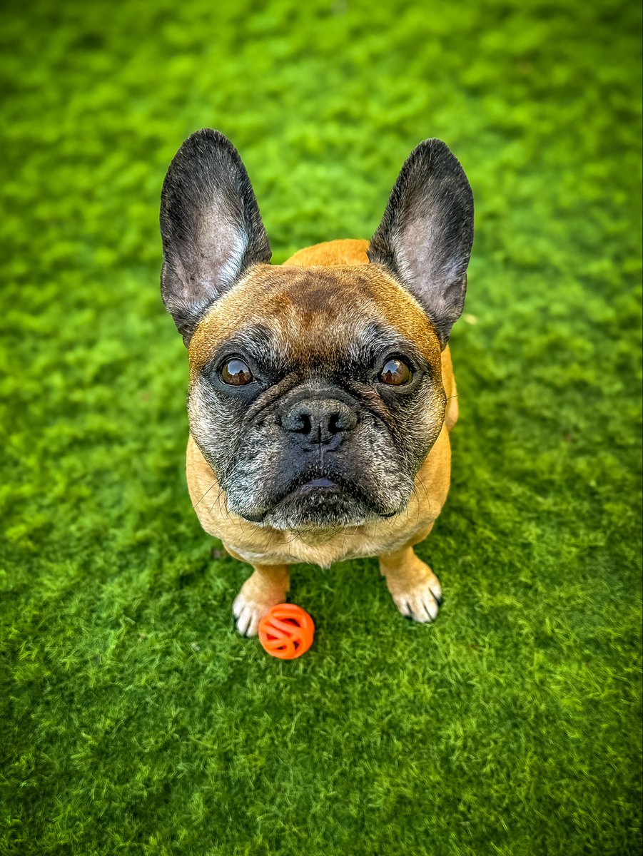 Pinot & Merlot tweet media