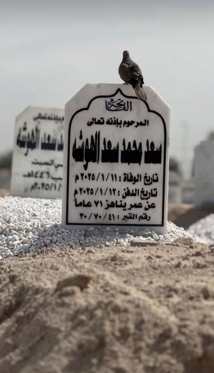 عيد الهوشه tweet media