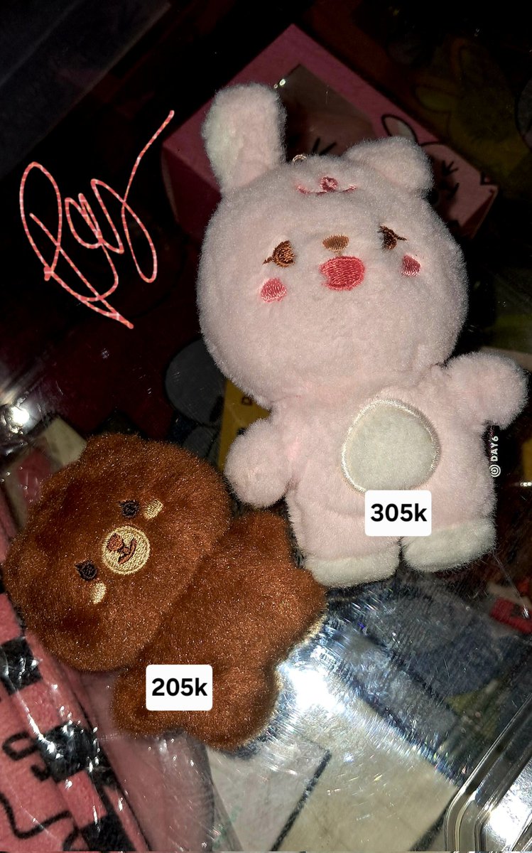 put 🐰 tweet media