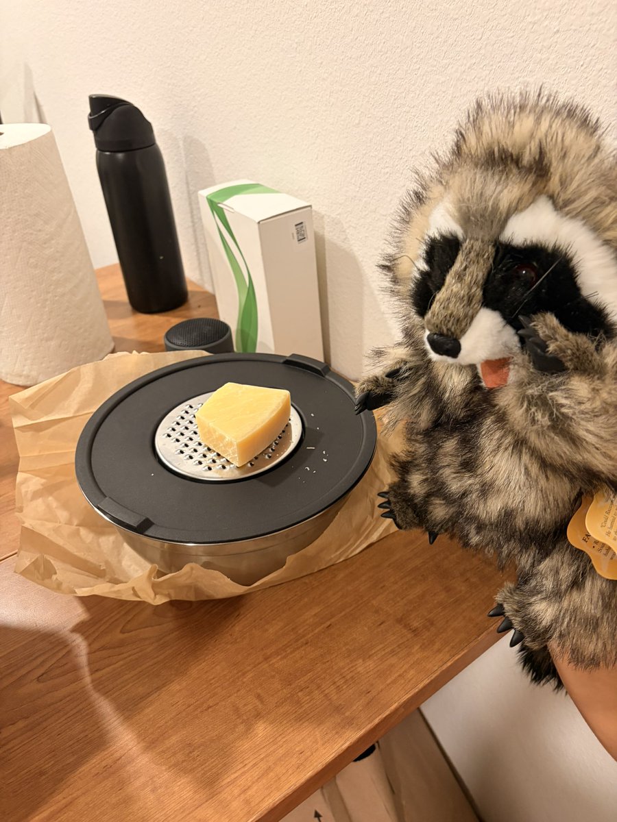 My raccoon seems a bit creeped out by this grater