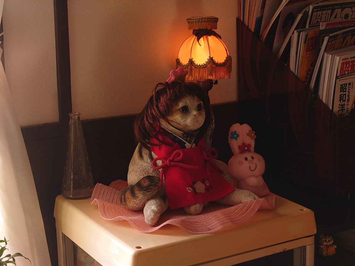 TEIJI🌹 (@TEIJI747) / Posts / X