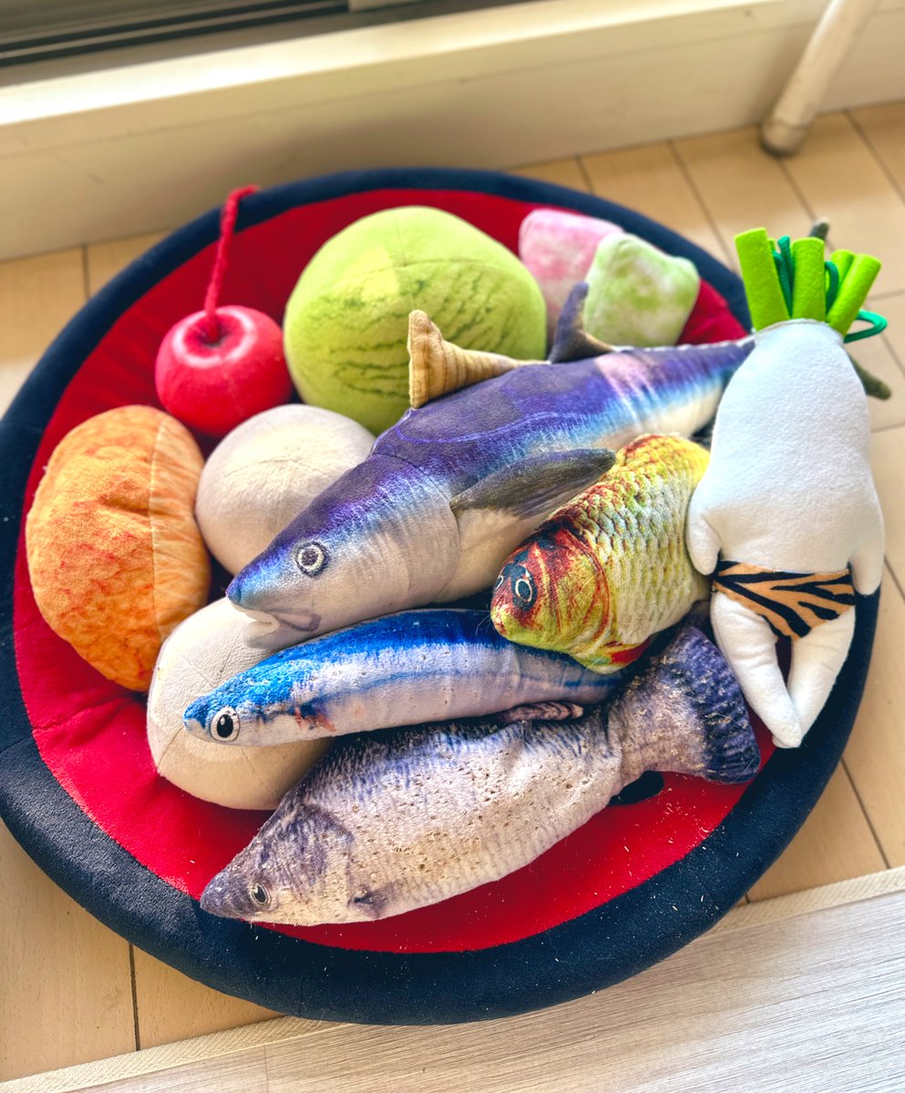 くろみつ・しらたま🐈保護猫兄妹 (@neko9682_4630) / Posts / X