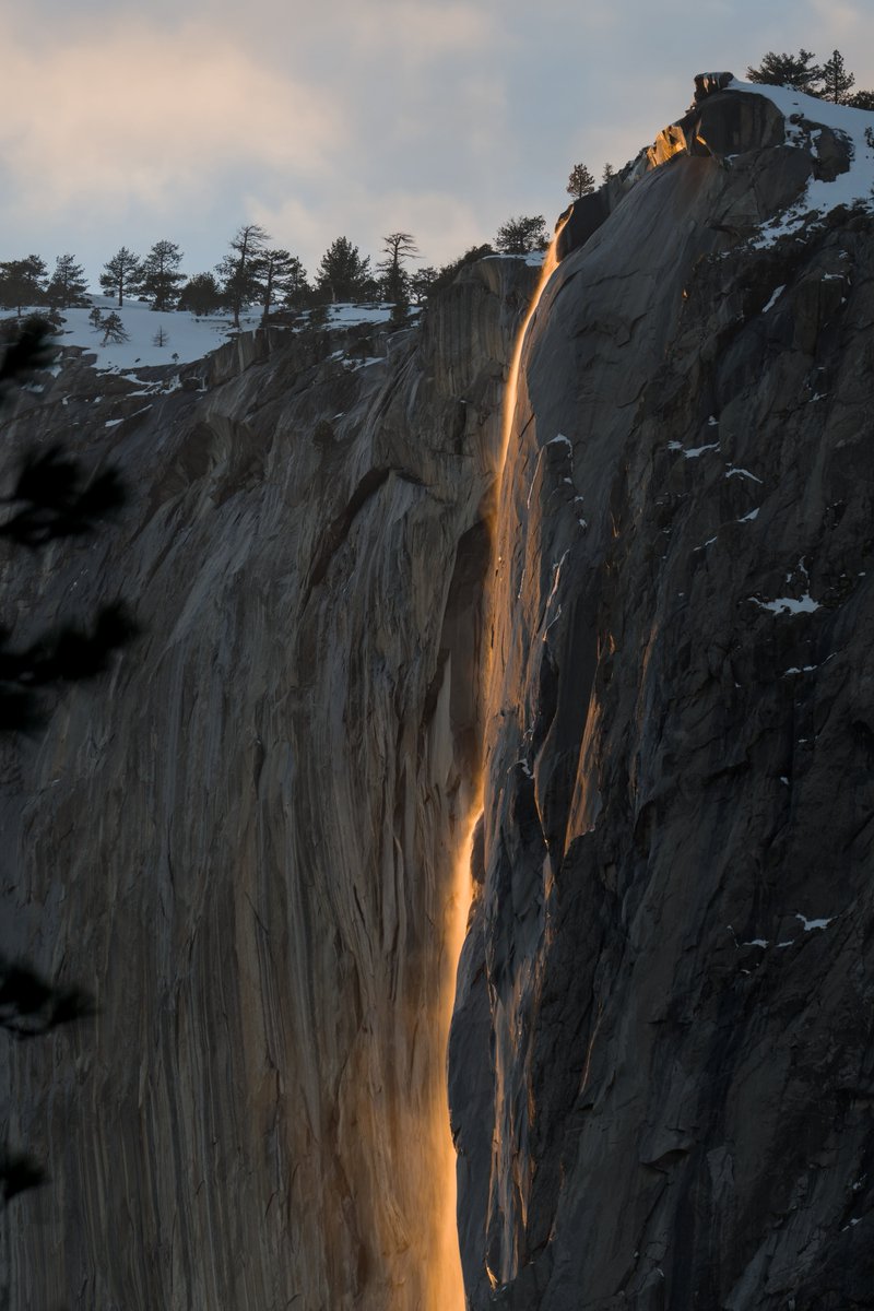 Birdman of California tweet media