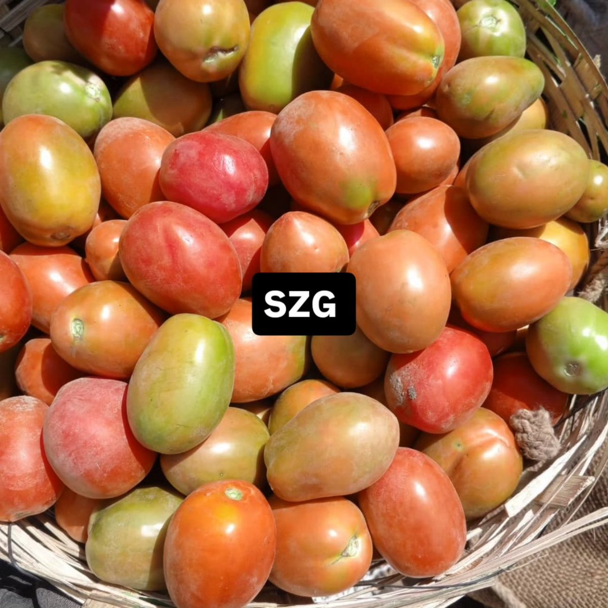 SPICEY ZEE tweet media