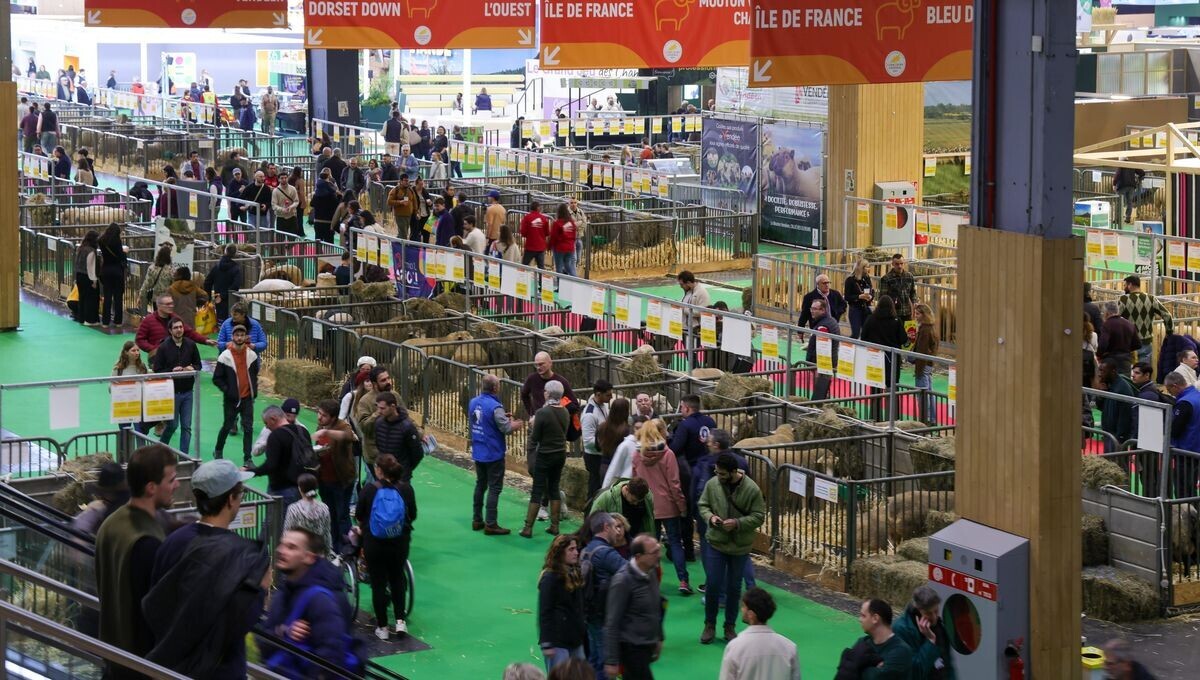 iciparisidf's tweet photo. Rixe au Salon de l'agriculture à Paris : 15 interpellations, un policier et un gendarme blessés
➡️ https://t.co/r2DCVsaRRK https://t.co/nVFKQX4OoF