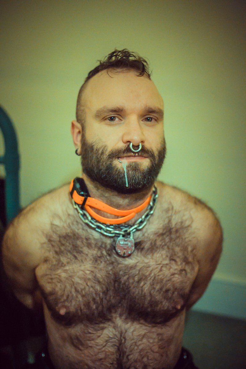 HairyLittlePig's tweet photo. Poppers bloodshot ✅ 
Collar shocked ✅ 
Asshole resembling lasagne ✅ 
Cum dribble ✅ 

A banger of a weekend? You fucking bet. 💯 https://t.co/qqBgbOVLOE