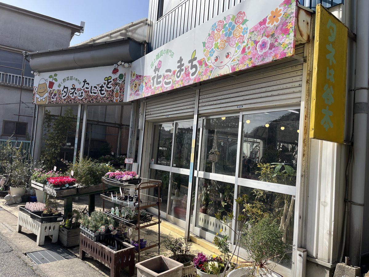 花こまち： G印ラリー以来の訪問です。 こんな垢名を名乗っている程度