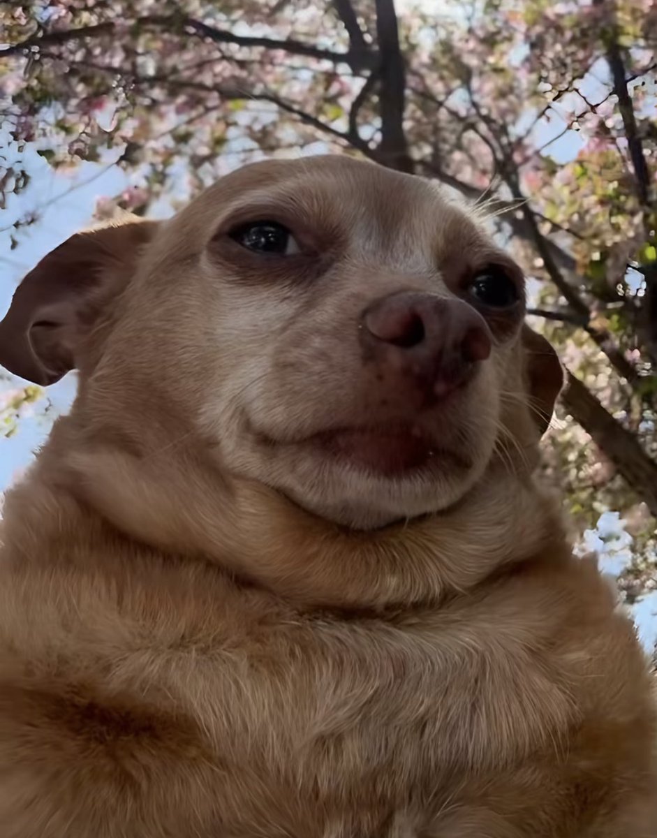 GM to everyone that woke up today