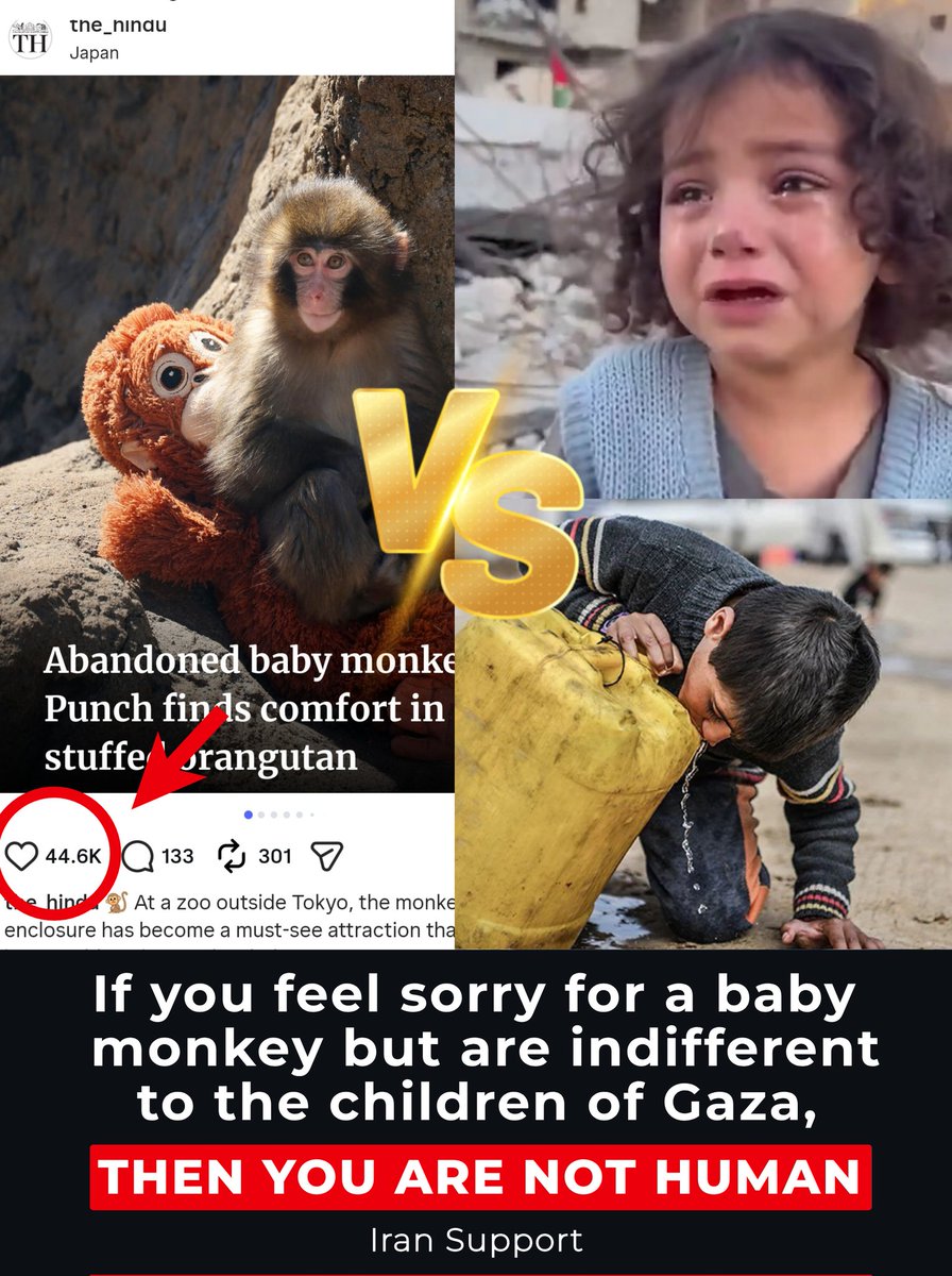 If you feel sorry for a baby monkey 🐒 but are indifferent to the children of Gaza, THEN YOU ARE NOT HUMAN ❤️‍🩹🇵🇸