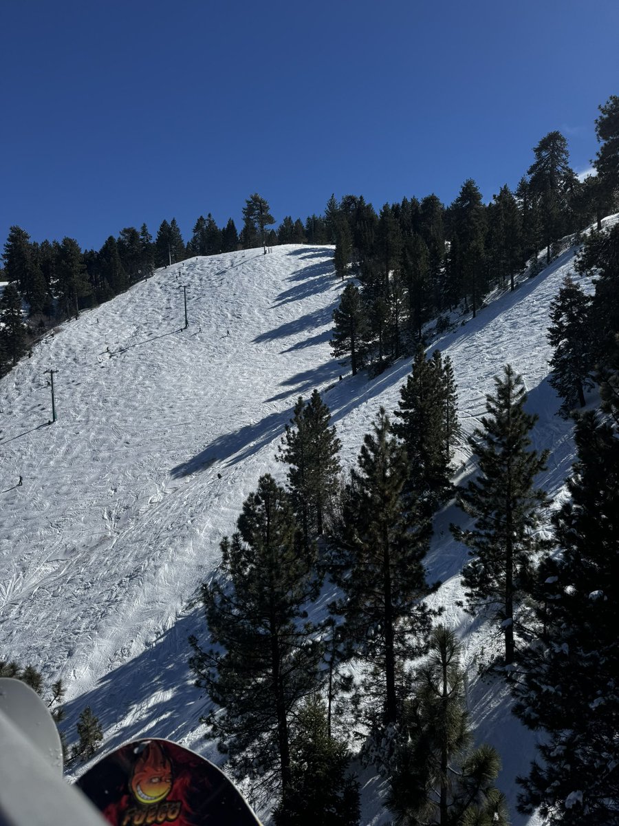 $ ¥ € £ tweet media