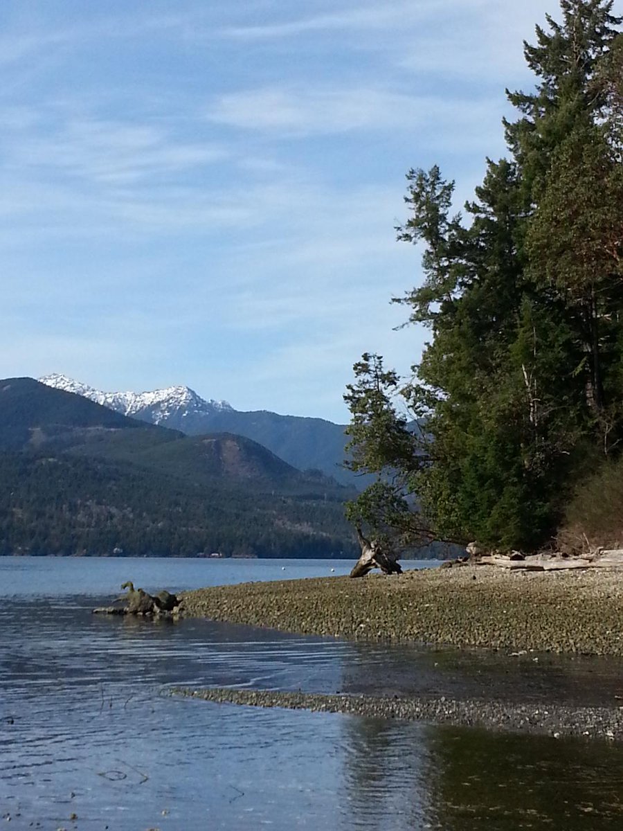 MercuryCards's tweet image. Ah dear nature—the mere remembrance, after a short forgetfulness, of the pine woods! I come to it as a hungry man to a crust of bread.—Journal, 12 December 1851 - Henry David Thoreau #quot#MondayVibes #NatureLovers #PNW #olympicpeninsula #washingtonstate 🇺🇸