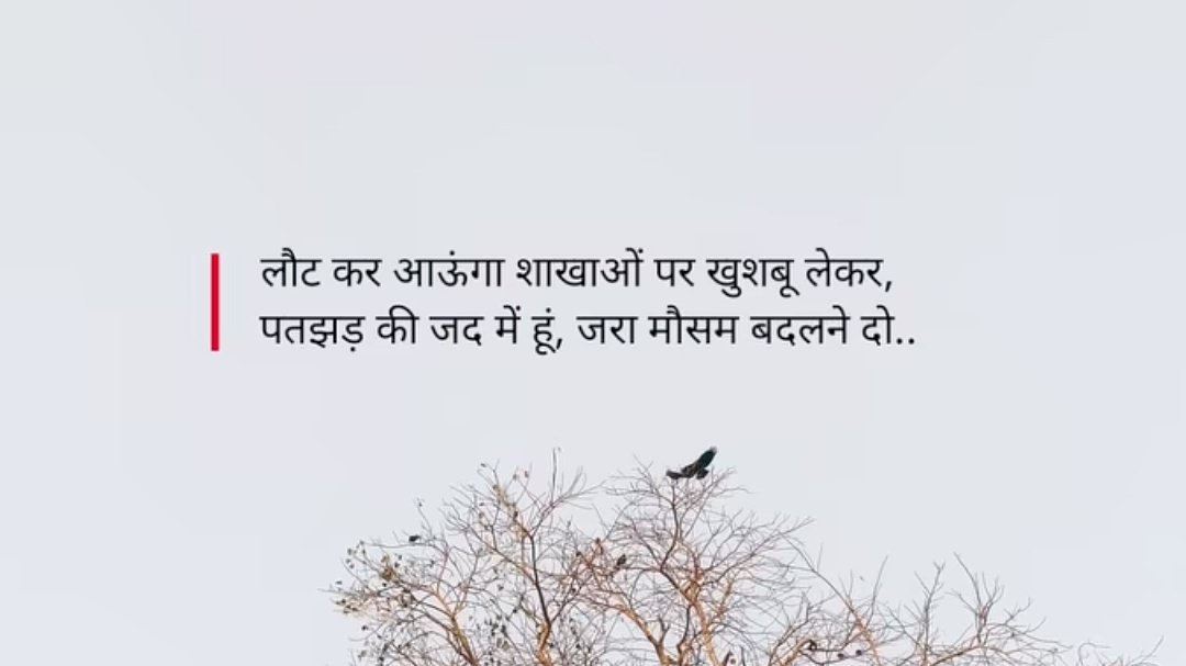 Mahsar_khan's tweet photo. लौट कर आऊंगा शाखों पर खुसबू लेकर
पतझड़ की जद में हूँ जरा मौसम बदलने दो https://t.co/Ffg2GThhnL