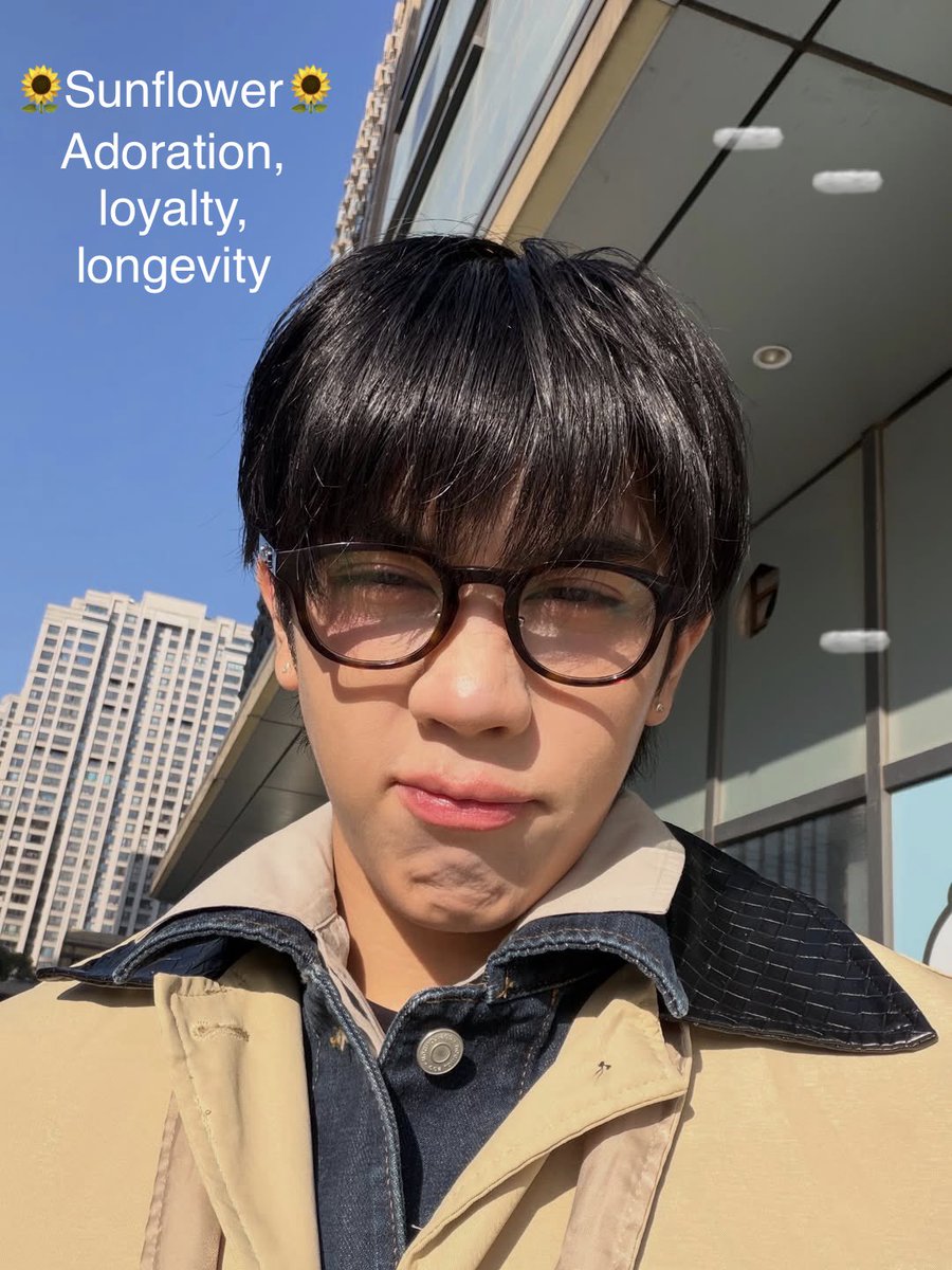🦋Y ‎𖧷Y💗 HSH_CK tweet media