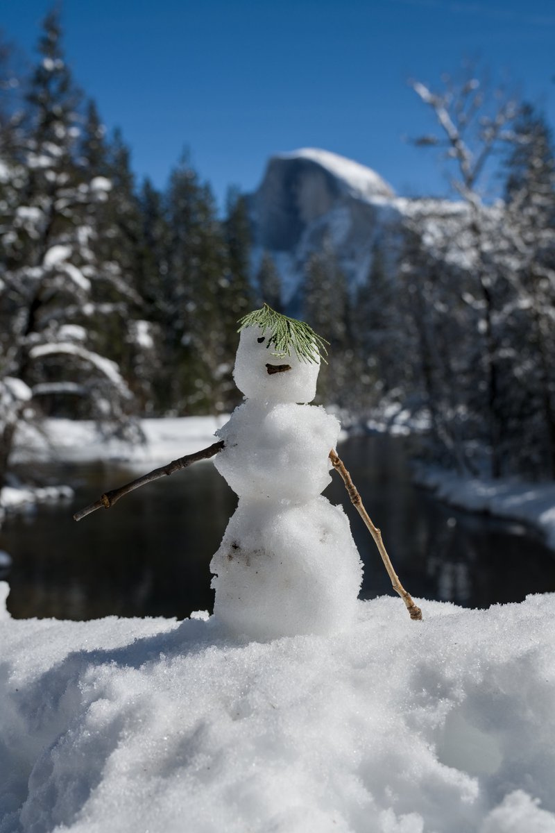 Birdman of California tweet media