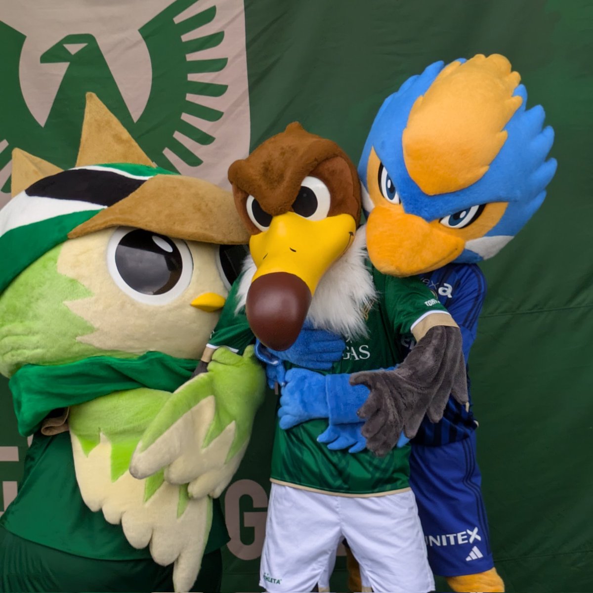 いっちゃん50🐦 (@ichyan45) / Posts / X